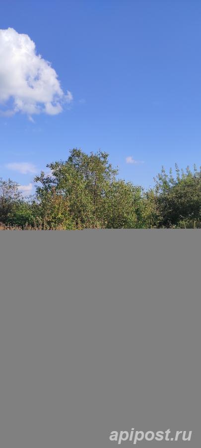 Участок 6 сот., Земли сельхозназначения (СНТ, ДНП) - Любинский