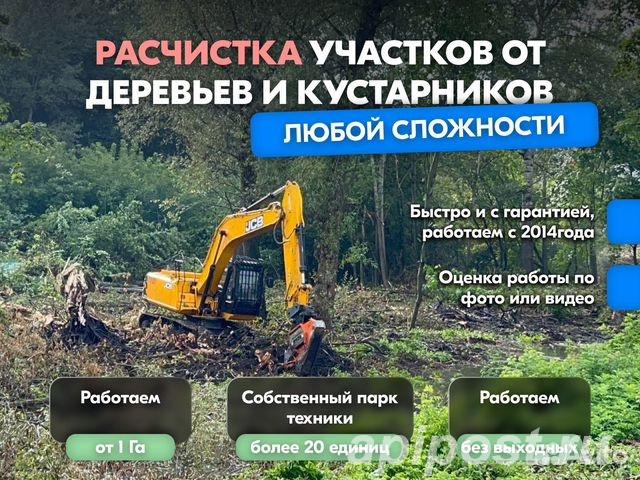 Расчистка территорий от деревьев и пней от 1 Га