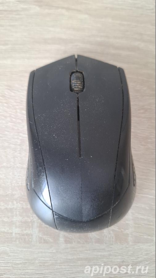 Продам мышь Gembird MUSW-305 Black - Симферополь