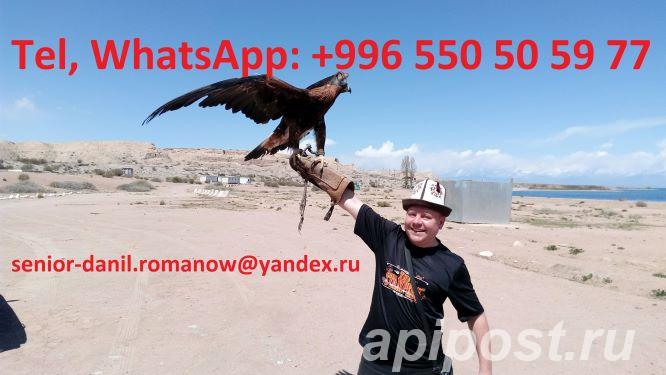 Guide, driver in Kyrgyzstan, tourism, travel, excursions,...