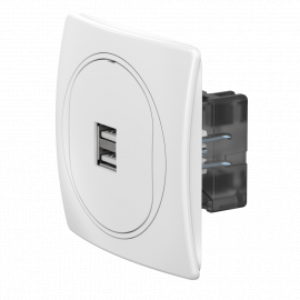 Розетка скрытой установки CADUCEUS ALING EON USB тип A для...