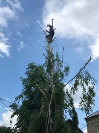 Выполняем все виды строительных работ