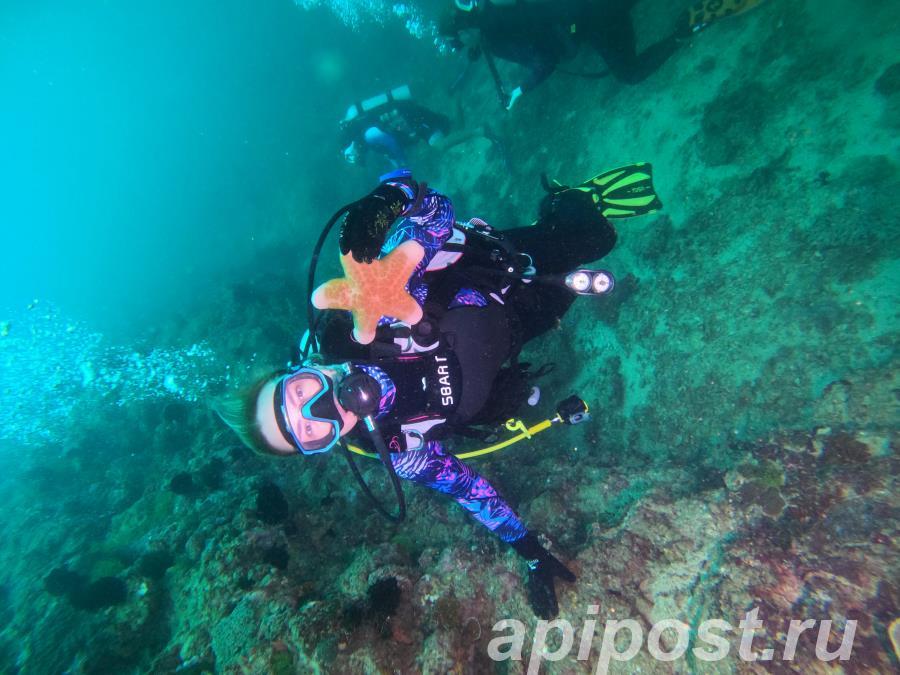 Курс дайвинга OWD Open Water Diver в Тюмени - Тюмень