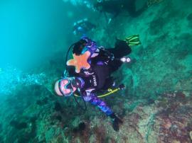 Курс дайвинга OWD Open Water Diver в Тюмени