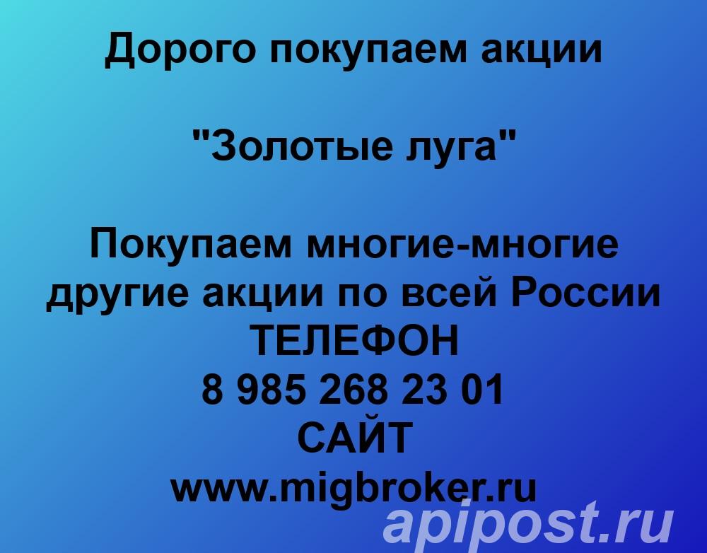 Покупаем акции Золотые луга. Оплата сразу Лучшая цена акций - Тюмень
