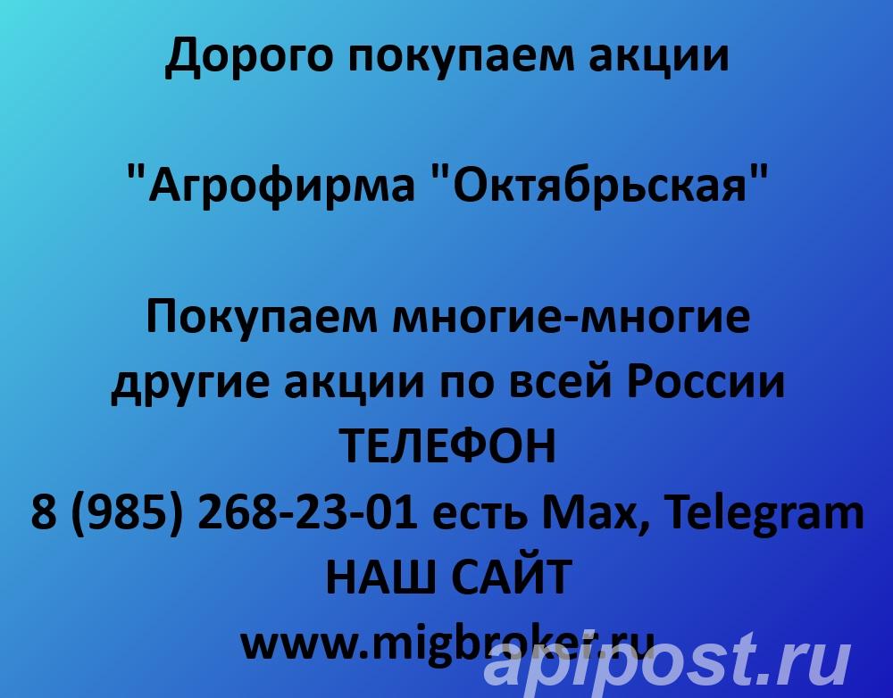 Покупаем акции Агрофирма Октябрьская. Оплата сразу - Саранск