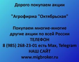 Покупаем акции Агрофирма Октябрьская. Оплата сразу