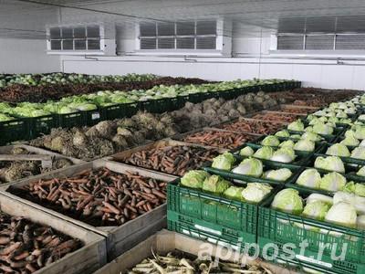 Овощехранилища Под Ключ в Крыму. Гарантия. Сервис 24 7. - Старый Крым