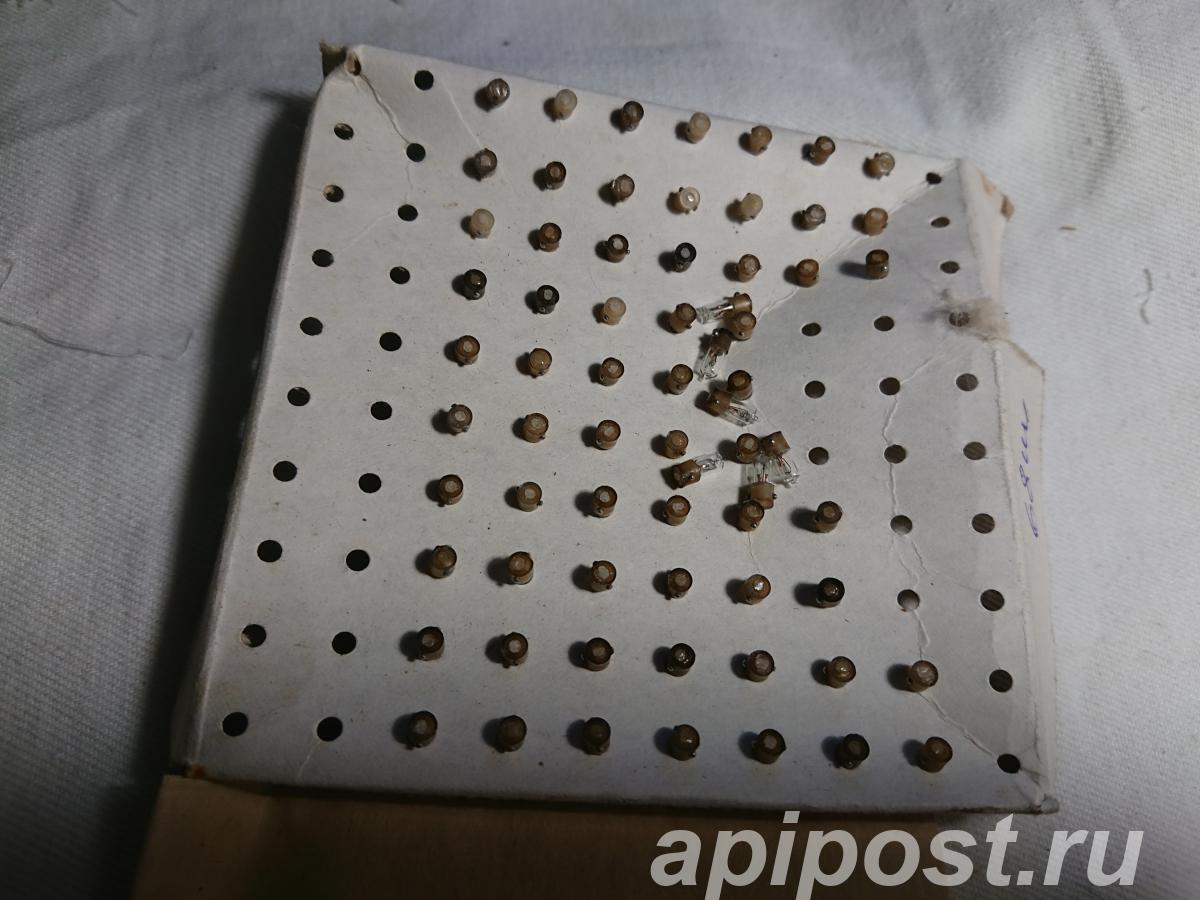 Лампы сверхминиатюрные смн 9-60. - Челябинск
