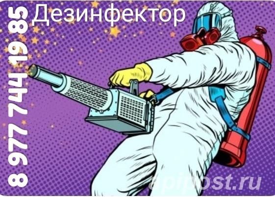 Дезинфекция от клопов и тараканов - Видное