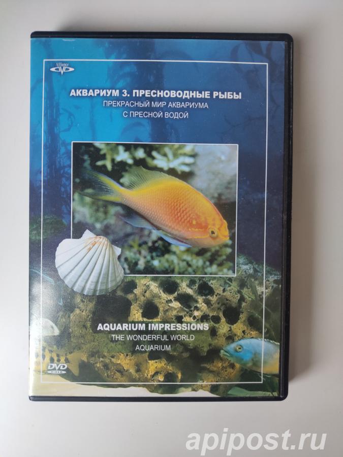 Аквариум 3. Пресноводные рыбы Aquarium Impressions. The... - Москва
