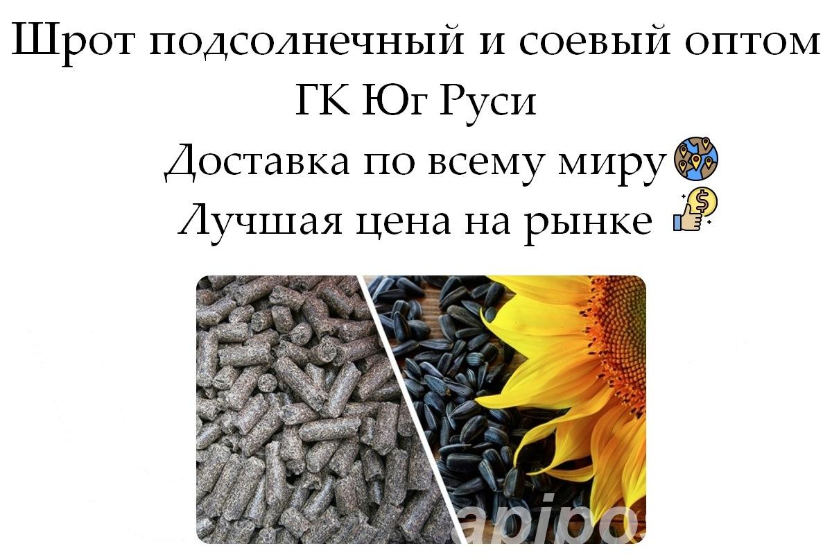 Шрот подсолнечный и соевый оптом от производителя ГК Юг Руси - Ростов-на-Дону