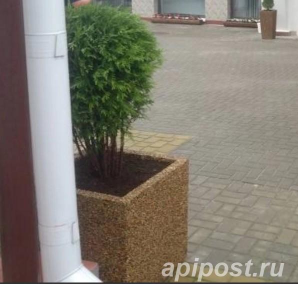 Вазон для цветов Робби