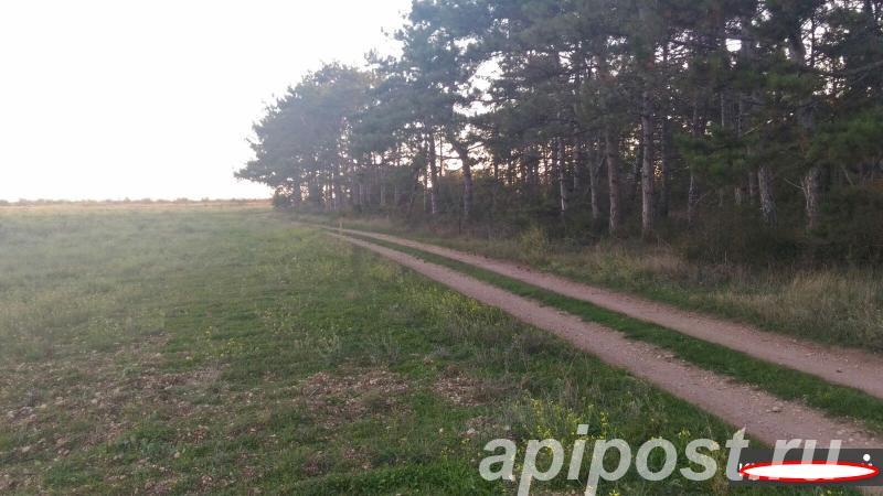 Участок 200 сот., Земли сельхозназначения (СНТ, ДНП) - Севастополь