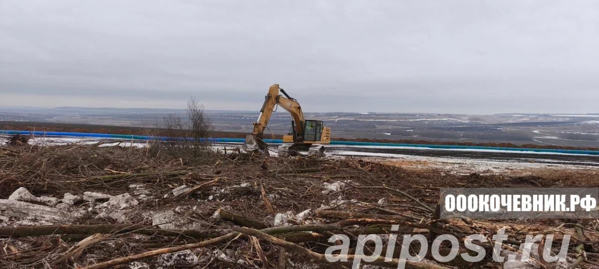 Расчистка участков от 1 га под ключ