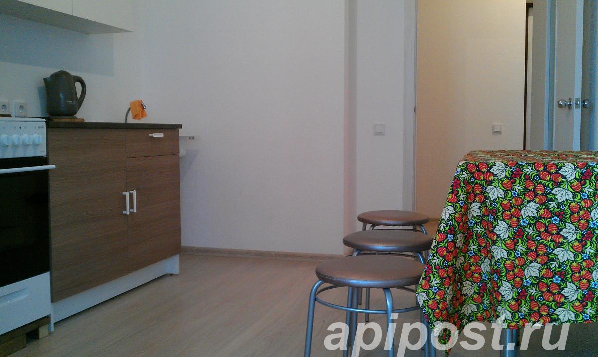 1-к. квартира, 43 м², на длительный срок - Екатеринбург