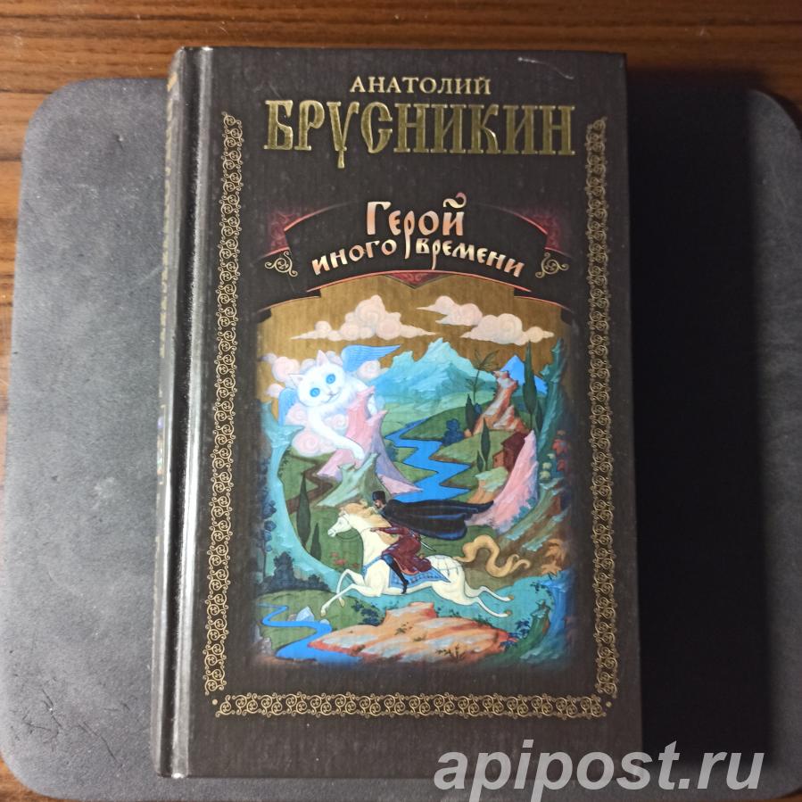 Анатолий Брусникин. Герой иного времени