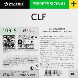 Pro-Brite CLF антисептик 5л